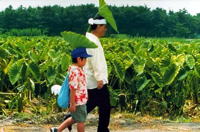 壹旅丨夏日终曲跟着电影里的夏天去旅行