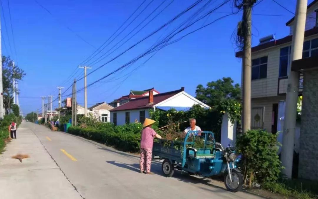 海安市白甸镇朱于村开展整洁村创建人居环境添颜值