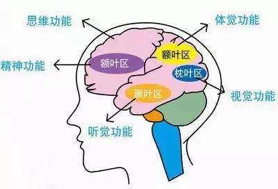 脑鲁国面积人口_色彩面积对比