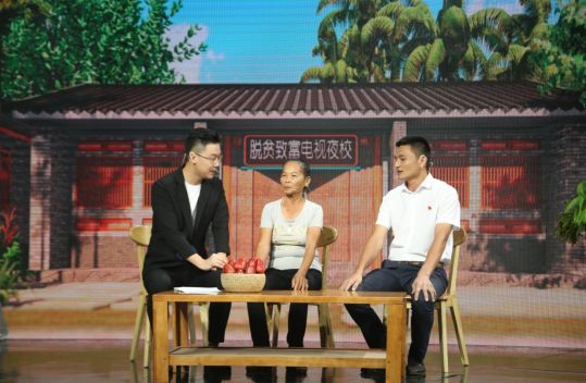拨茄村人口(2)