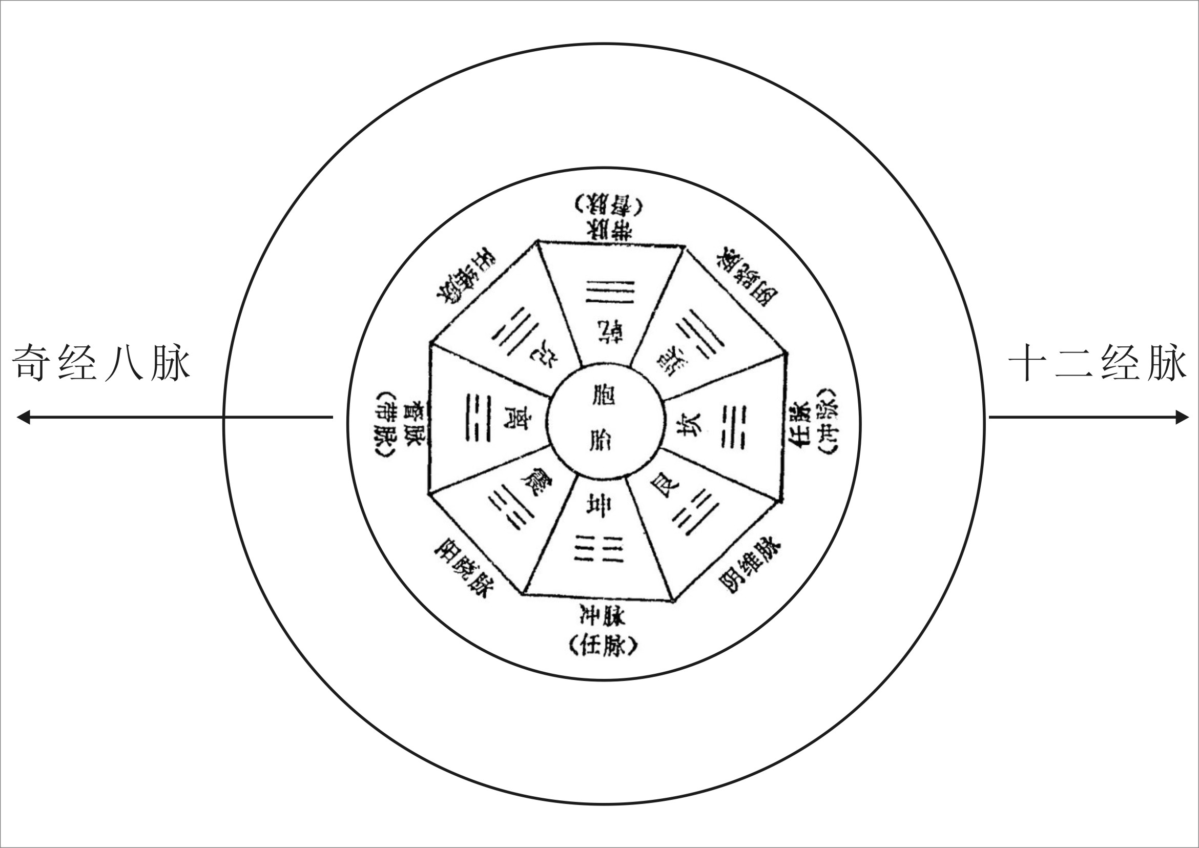 中医经脉系统图示如下