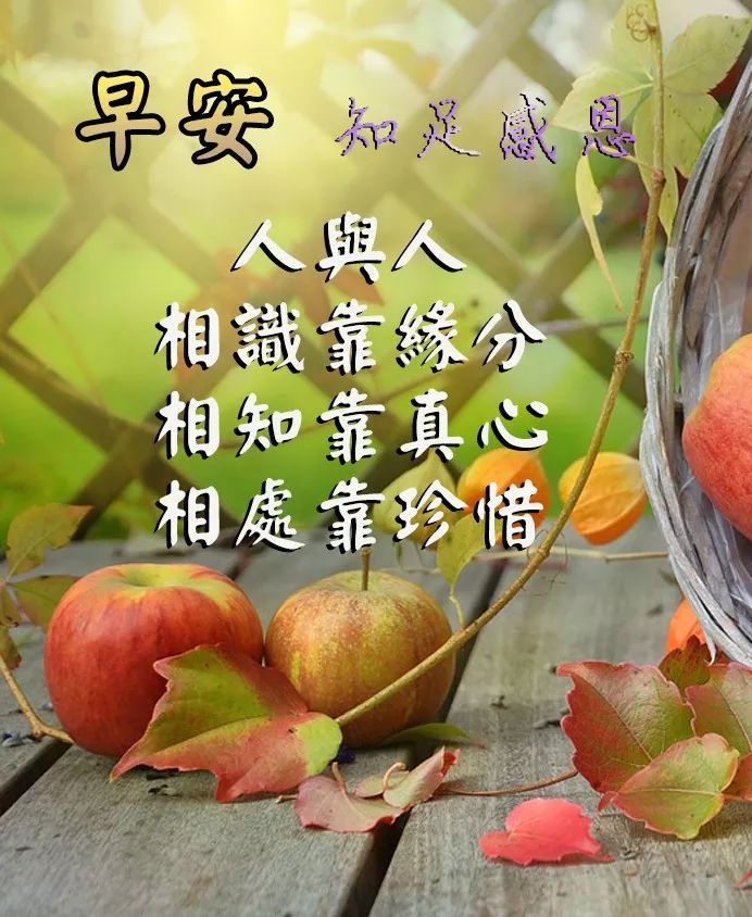 2019特漂亮的早安祝福唯美图片带字温馨 最新早上好祝福问候短信图片
