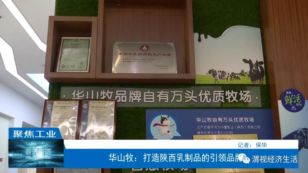 中垦华山牧乳业的建设,高点起步,直达优质奶工程.