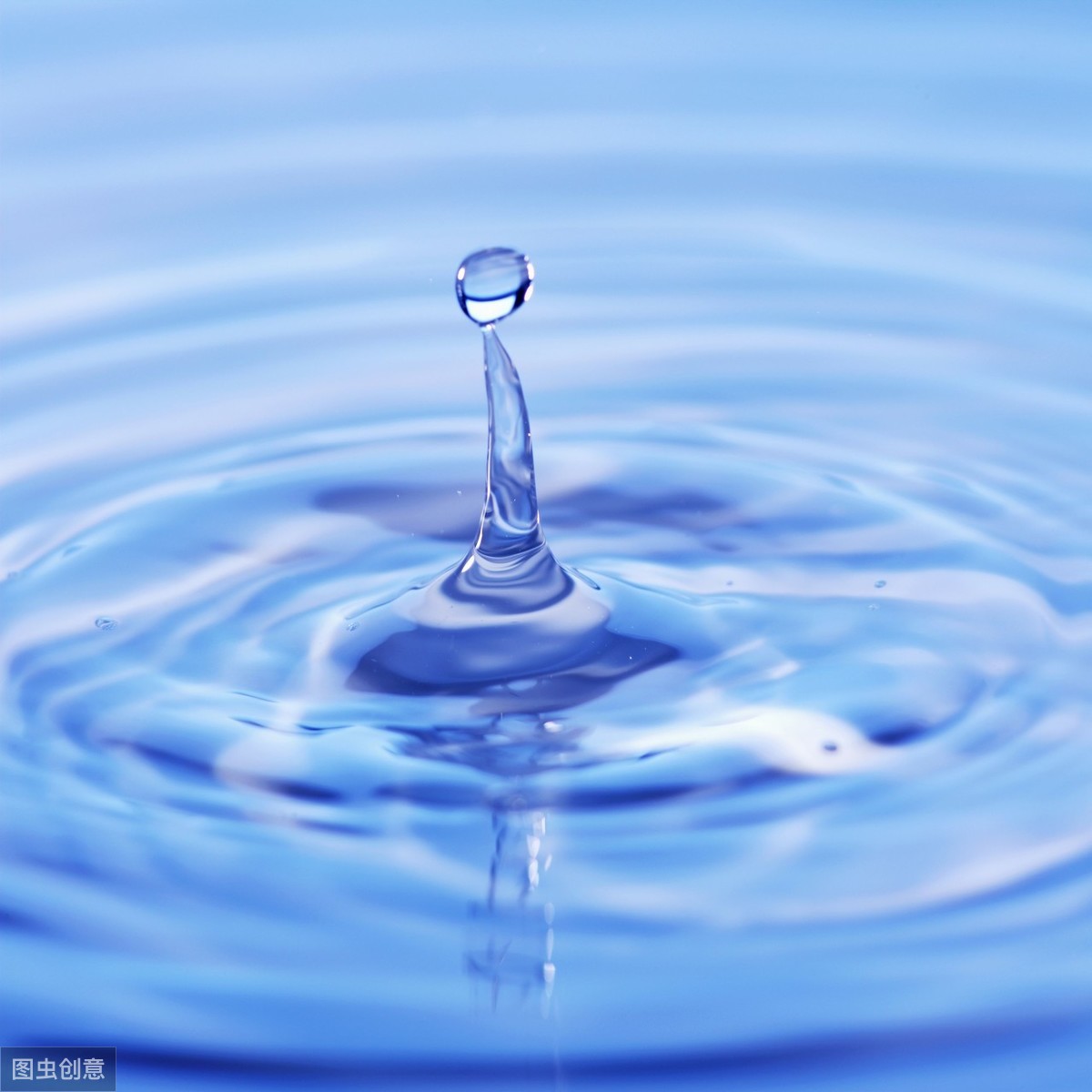 f3f867503aff4e5195d65bbcaed821ac.jpeg