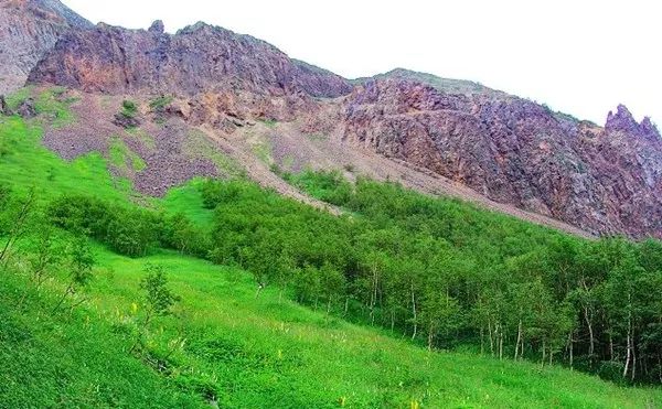 岳桦林带针叶林带针阔混交林带植物垂直景观带:在海拔500～1000米