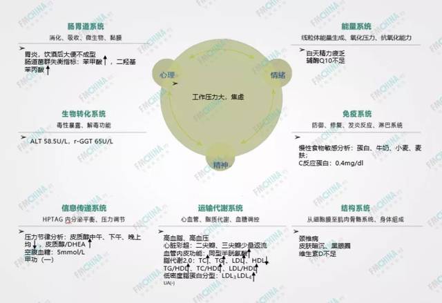 临床案例易兰兰医生分享原发性高血压功能医学辅助干预下