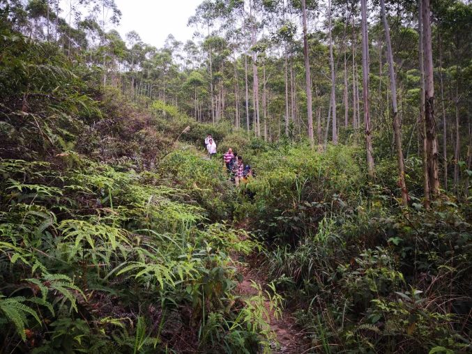 08月25日 山野线穿越高明茶山 游泳避暑 品正宗柴火走