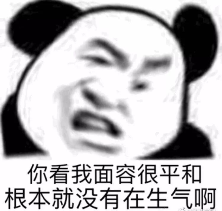 14f45258601f465b89f784b1d41f00ca.jpeg