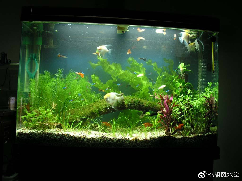 1ab3ae9384d84f4fa64e5b823a0e0a65.jpeg