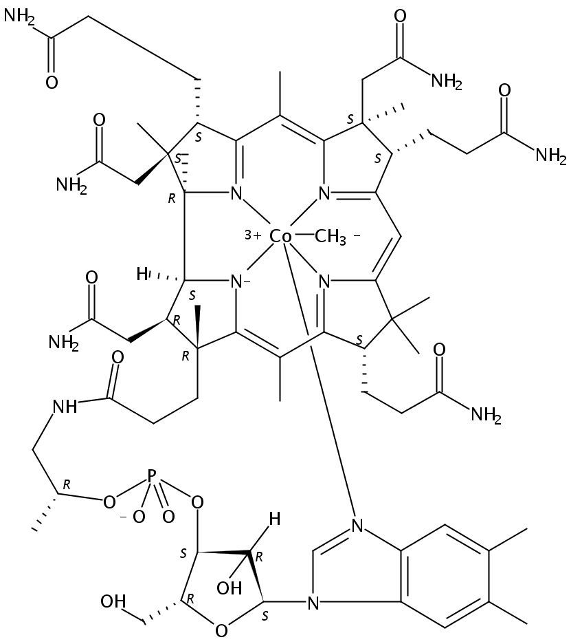 不同形式维生素b12之间的代谢转化