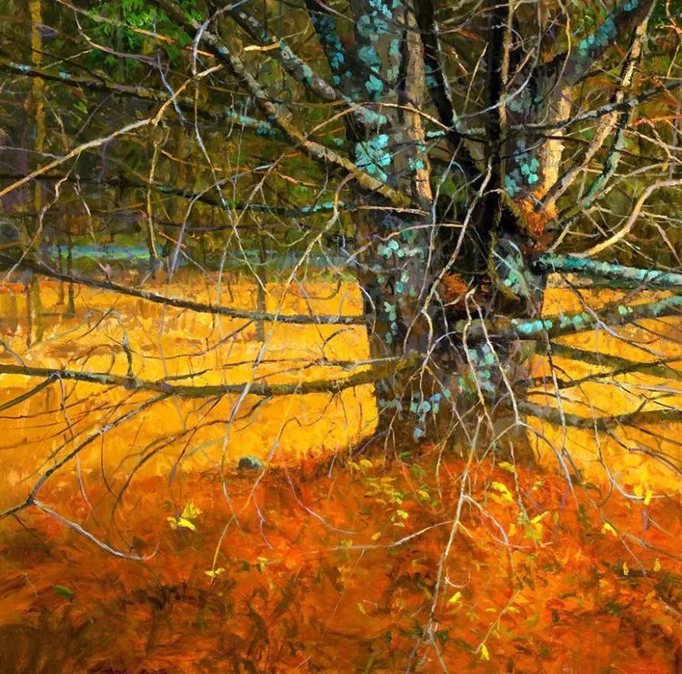 世界上有一种最美丽的谎言,那就是富有想像力