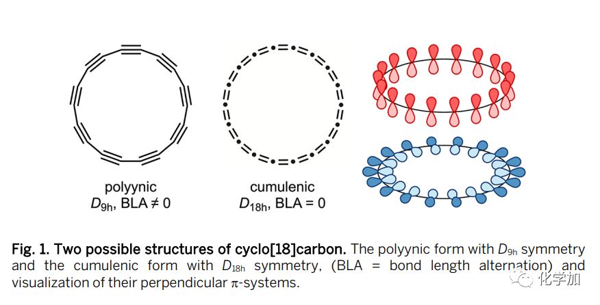 近日,一个研究小组终于合成出第一个由18个原子组成的环状纯碳分子.