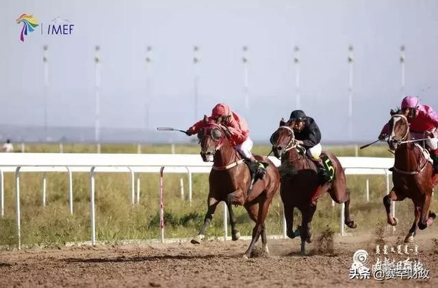 嘶鸣声是什么声音 2331d88b962c4021b7cbaa9002af2444.jpeg