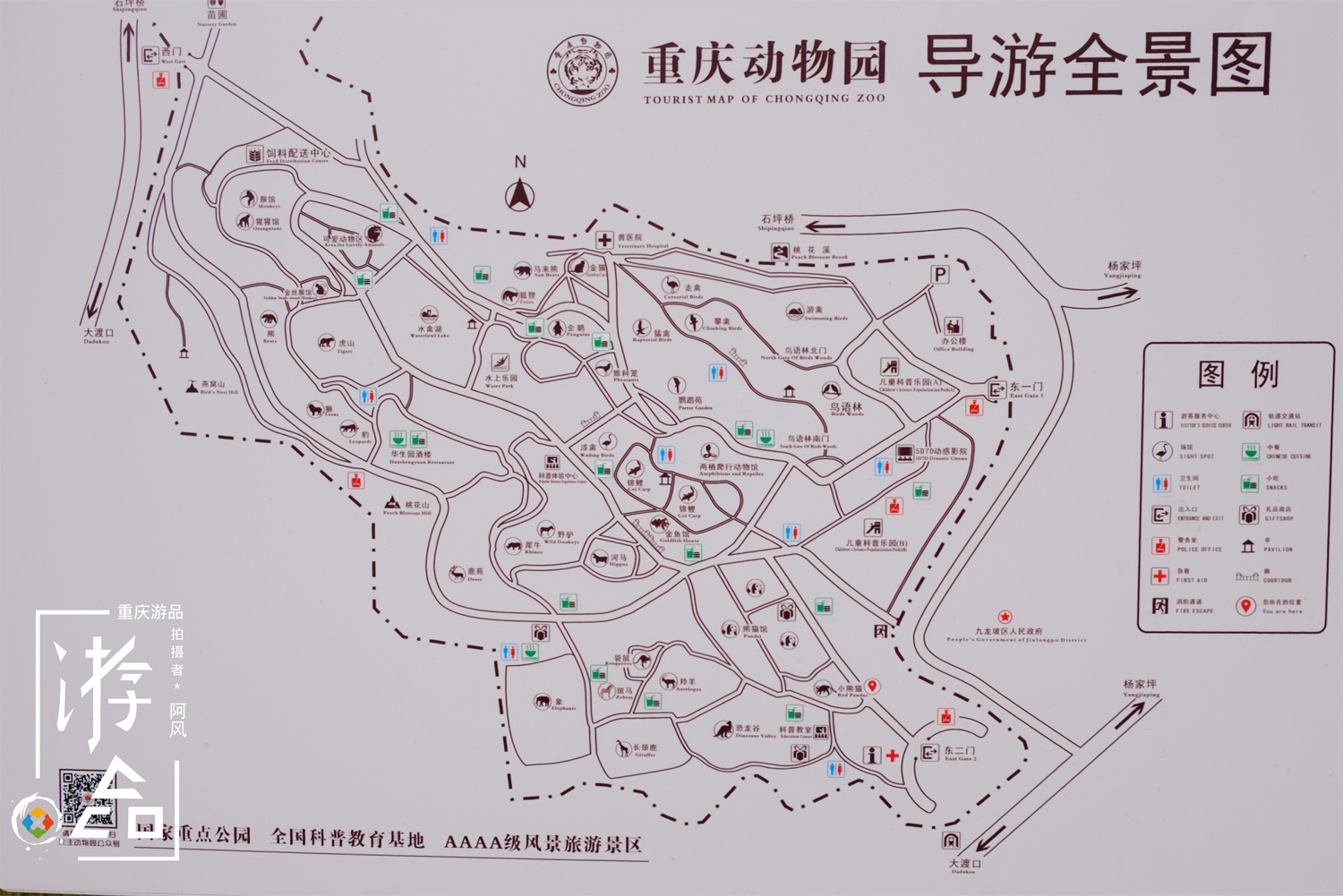 重庆动物园详细攻略:不绕路也能逛完整个园区