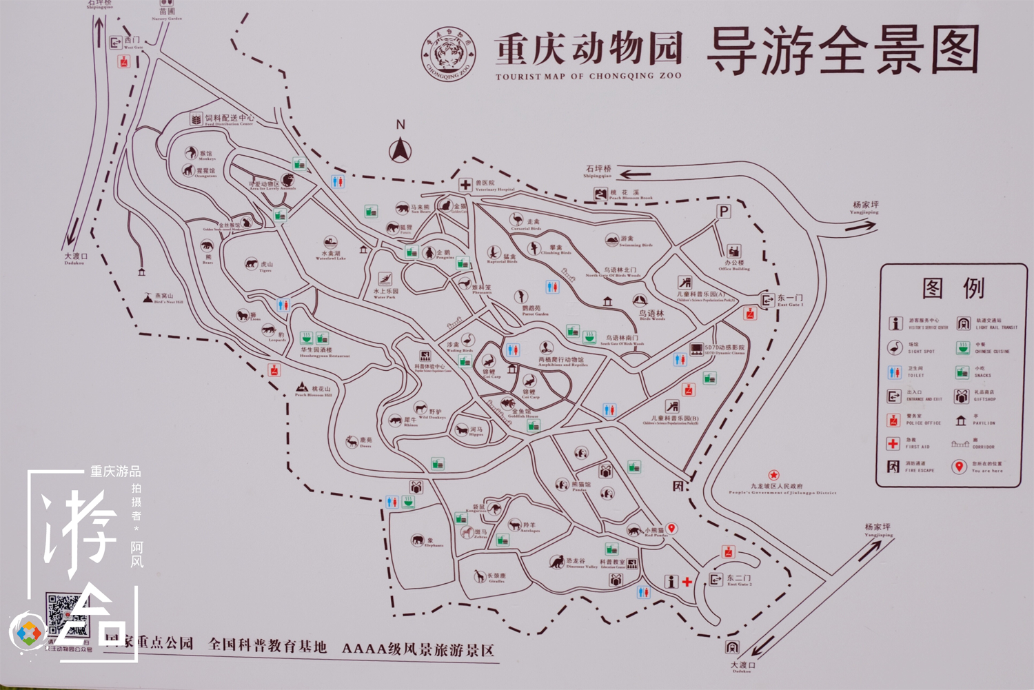 重庆动物园又名杨家坪动物园,位于九龙坡区,是重庆众多aaaa景区的其中