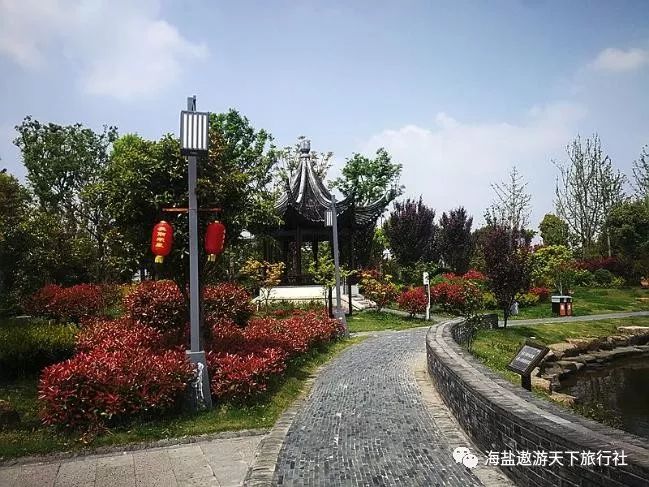 遨游天下自组团9月512日最美桐乡康馨园凤凰湖一日游128元人