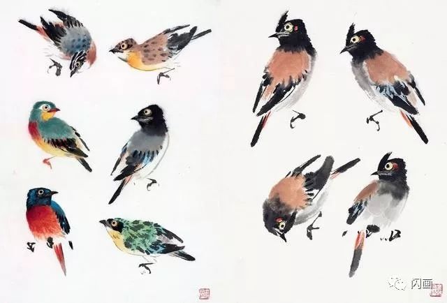 各种小鸟的国画技法分解
