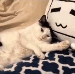 27ef6574c116453fbdbbb78ef4a7399a.gif