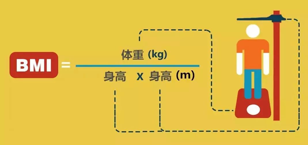 健跑趣味 | 马拉松与bmi的关系