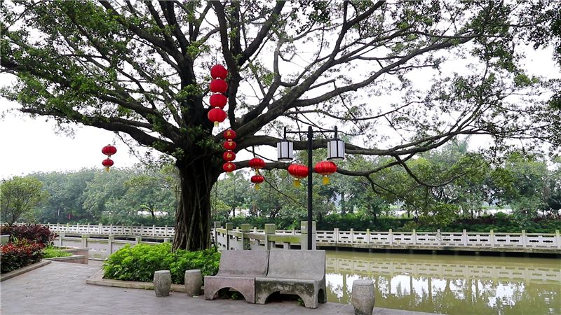 沿君子大道走进颖川大道,上颖川东桥,映入眼帘的是一片旖旎的岭南水乡_风景520 记者手记:要造金银山更需绿水环 夏日傍晚,到访罗南村,沿君子大道走进颖川大道,上颖川东桥,映入眼帘的是一片旖旎的岭南水乡风光,小桥下潺潺流水,古榕树下石桌石凳安然静躺,河涌上停放着几只乌篷船,宛如一幅雨中岭南诗意图。 罗南,这个经济高速发展的繁荣新村,从经济罗南迈入生态罗南时代。要造金银山,更需绿水环的理念逐渐在罗南人心中形成共识。我们要通过碧水蓝天工程,将罗南建设成为远望像林园,近望像花园,细看人民生活在幸福乐园。罗南村委会主任关润尧的话掷地有声。