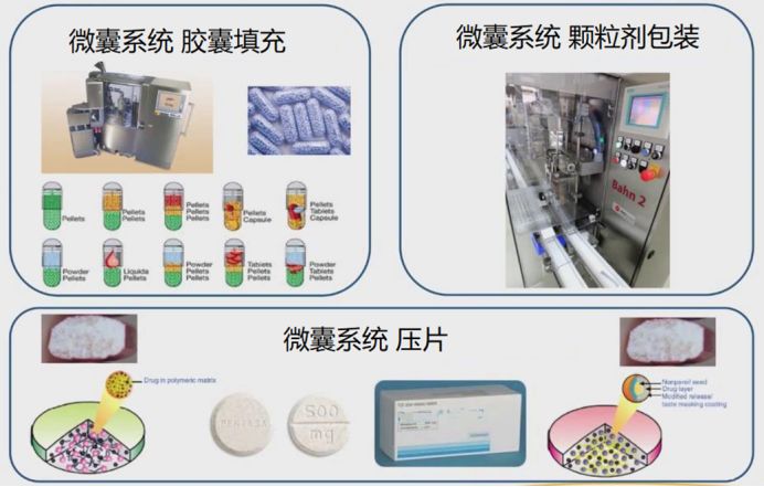 romaco于文强:特殊口服固体制剂—mups的技术及应用解析