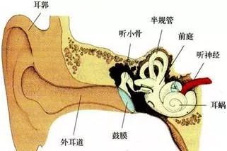 袋鼠育儿宝宝话说不清楚不合群爱晕车错过内耳前庭训练耽误终身