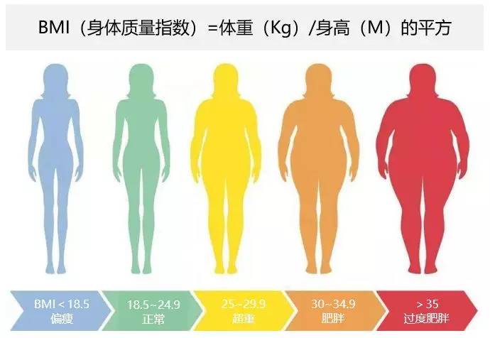 9为超重,bmi≥30为肥胖: 对照完国际标准,再捏捏自己的小肚子,是不是