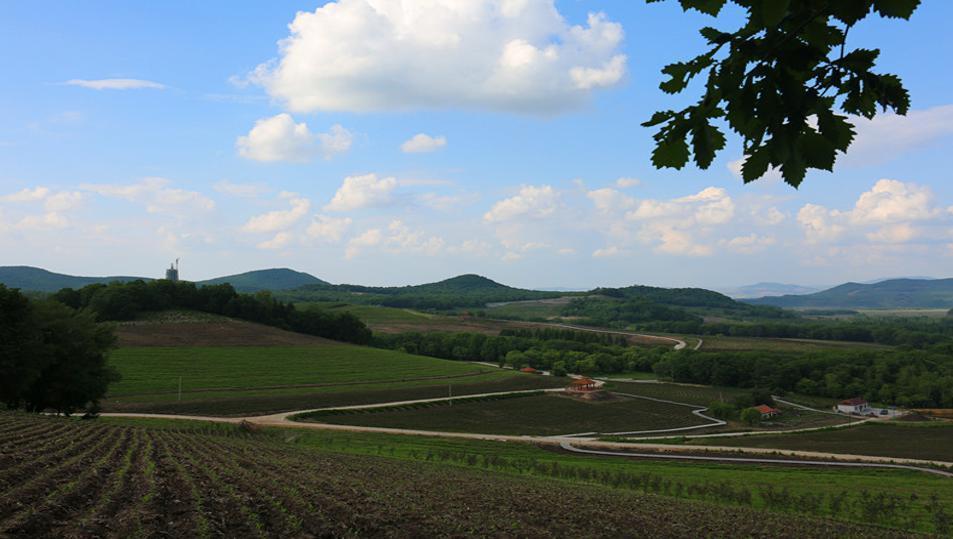 隋广义你别跑了,这里来了不想走! 隋广义你别跑了,这里来了不想走!