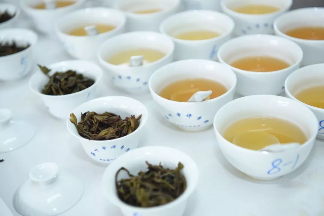 “茶王”出炉看“中茶杯”第九届国际鼎承茶