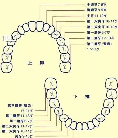 千万不要相信"乳牙迟早要换,蛀了也没关系"这种话!