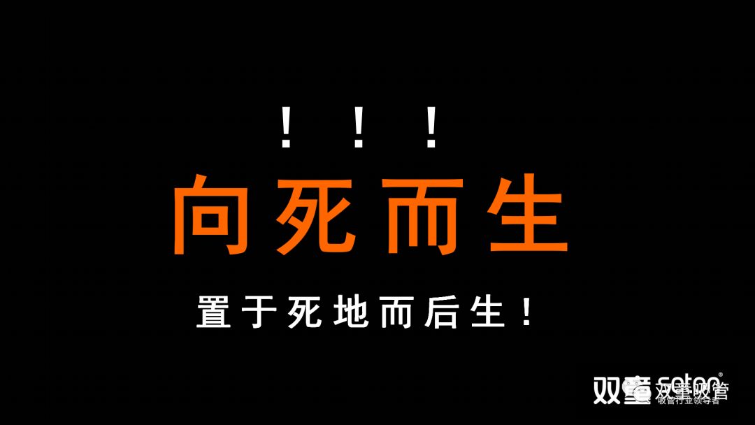 双童离死亡只有六个月向死而生楼仲平时隔七年再次推动企业重大改革