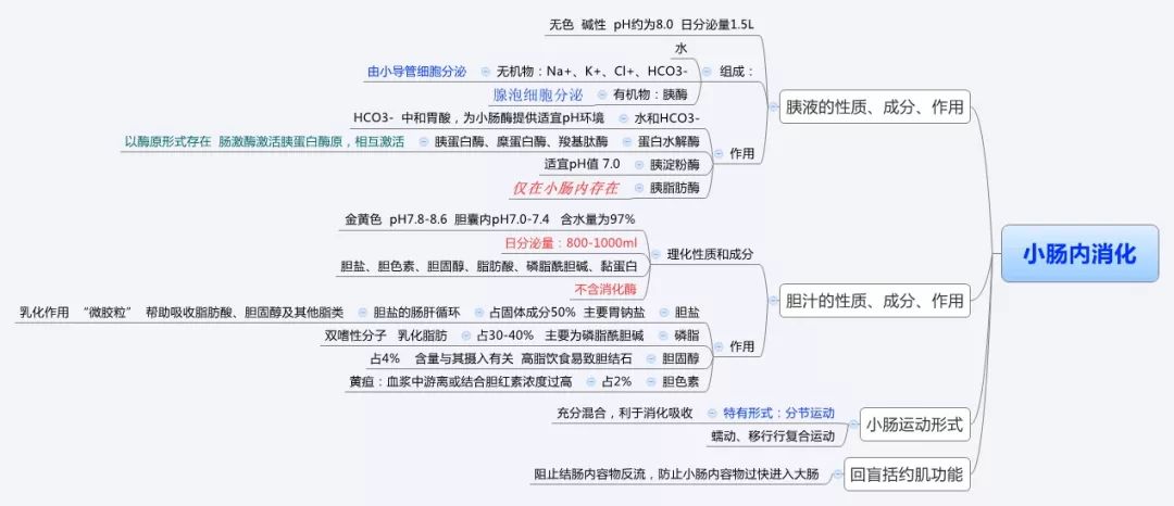 生理学思维导图,医学生必备!