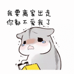 美国人的行动力真是妥妥的