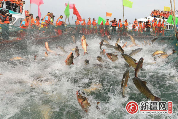 新疆博湖開啟「大湖文化」文旅新品牌 旅遊 第9張