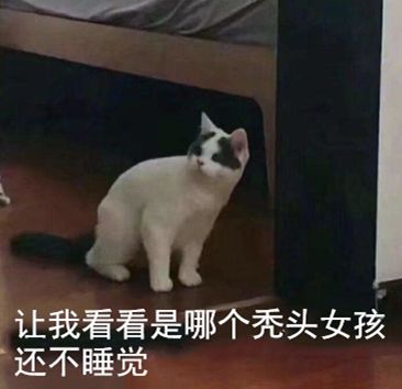 66d19c541732404aa84ccb3c777b95e5.jpeg