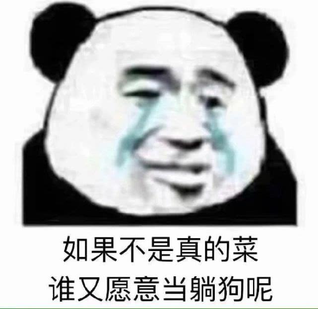 爆笑表情包:打游戏的你