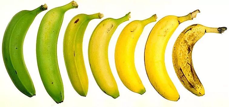 抱香蕉猜成语_香蕉卡通图片