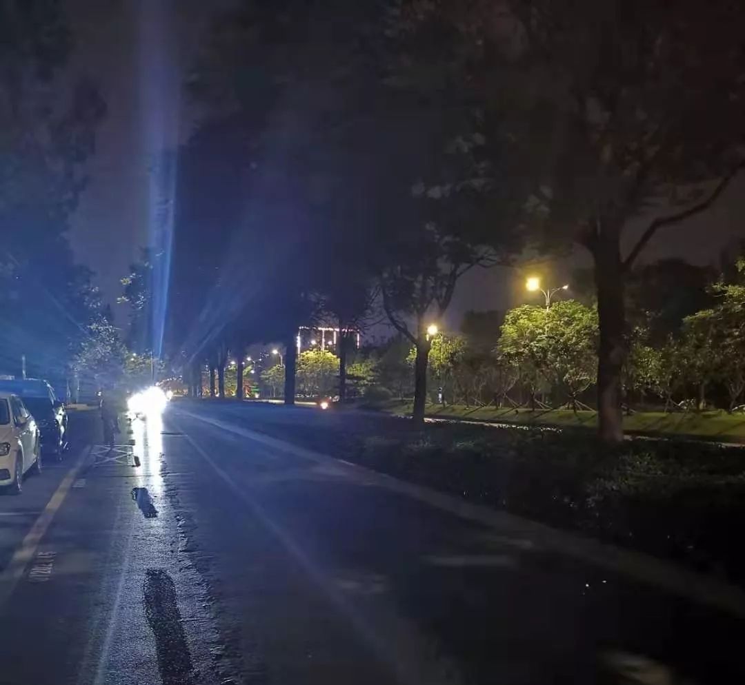 网友盼这些路段的灯尽快亮起来