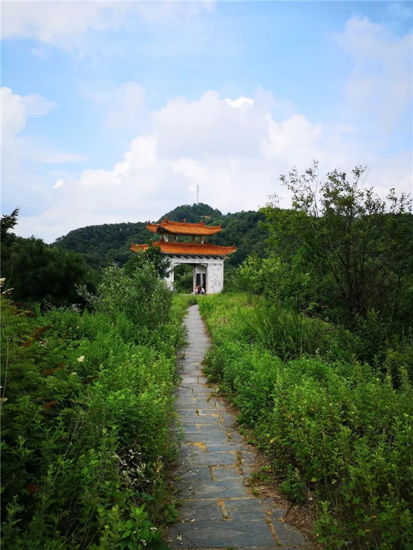 熊耳山分水岭豫西葱郁竞奇峰,熊耳伏牛各尽雄.