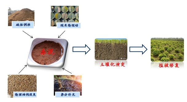 土壤修复改良