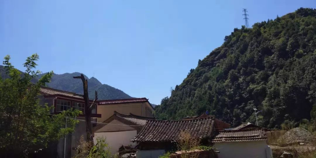 西和县有多少人口_西和县晚霞湖图片