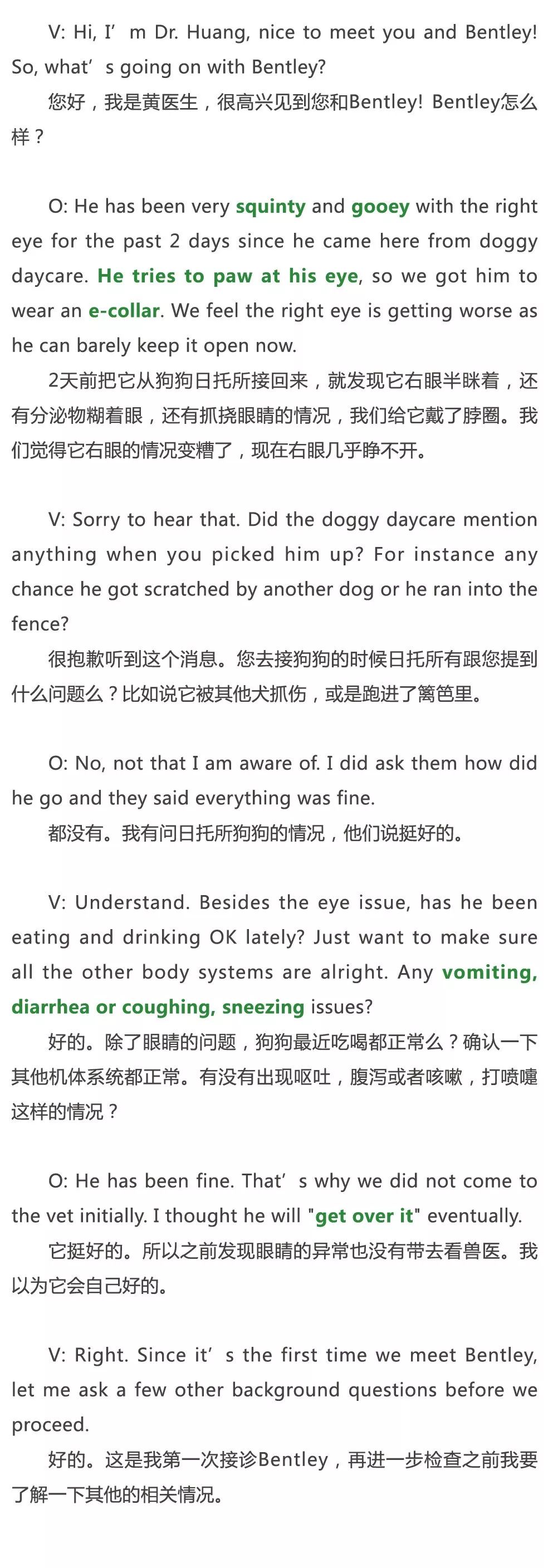 兽医学习·分享丨Vetstar兽医英语--眼科学:兽医