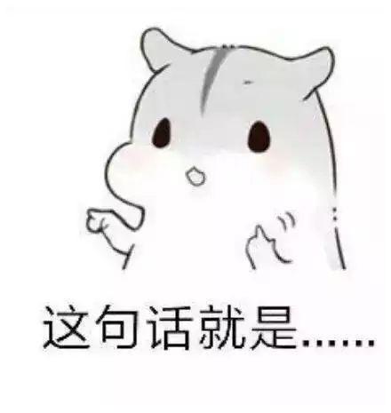 仓鼠撩妹套路表情包|我有一句话,这辈子只说一次