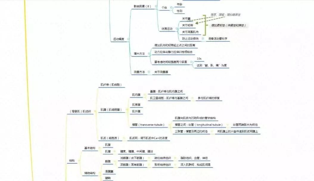 你有一份《运动解剖学》思维导图需要查收!