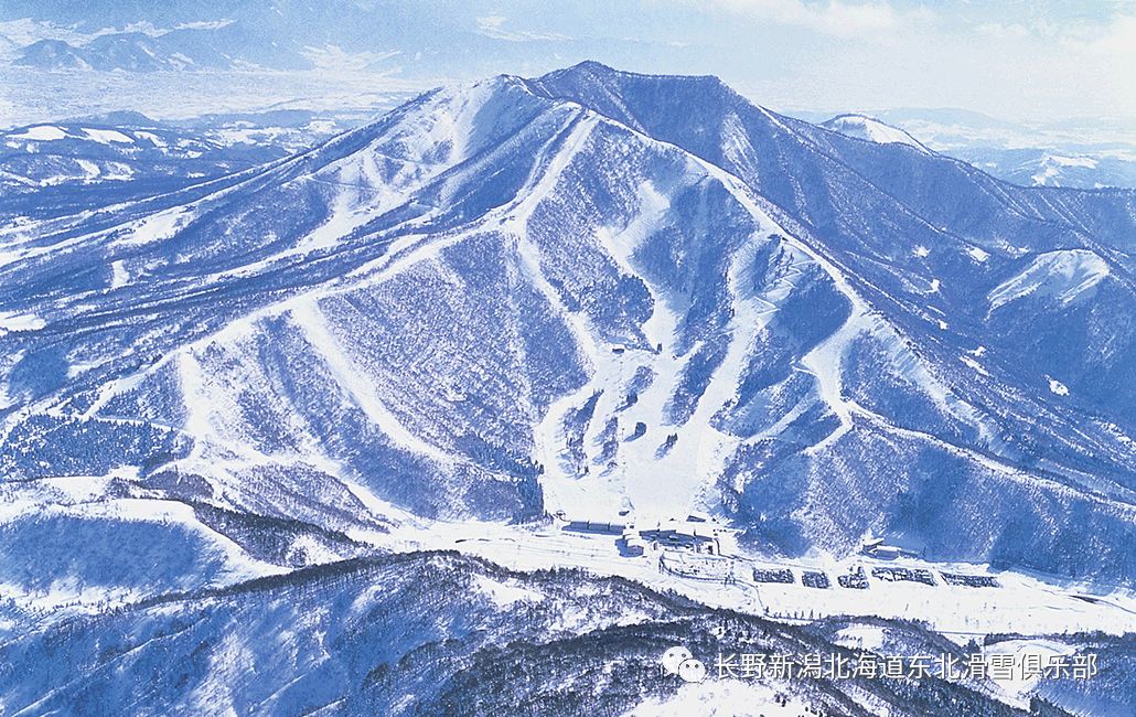 北海道二世谷比罗夫滑雪场顺藤摸瓜牵出日本滑雪界的大佬