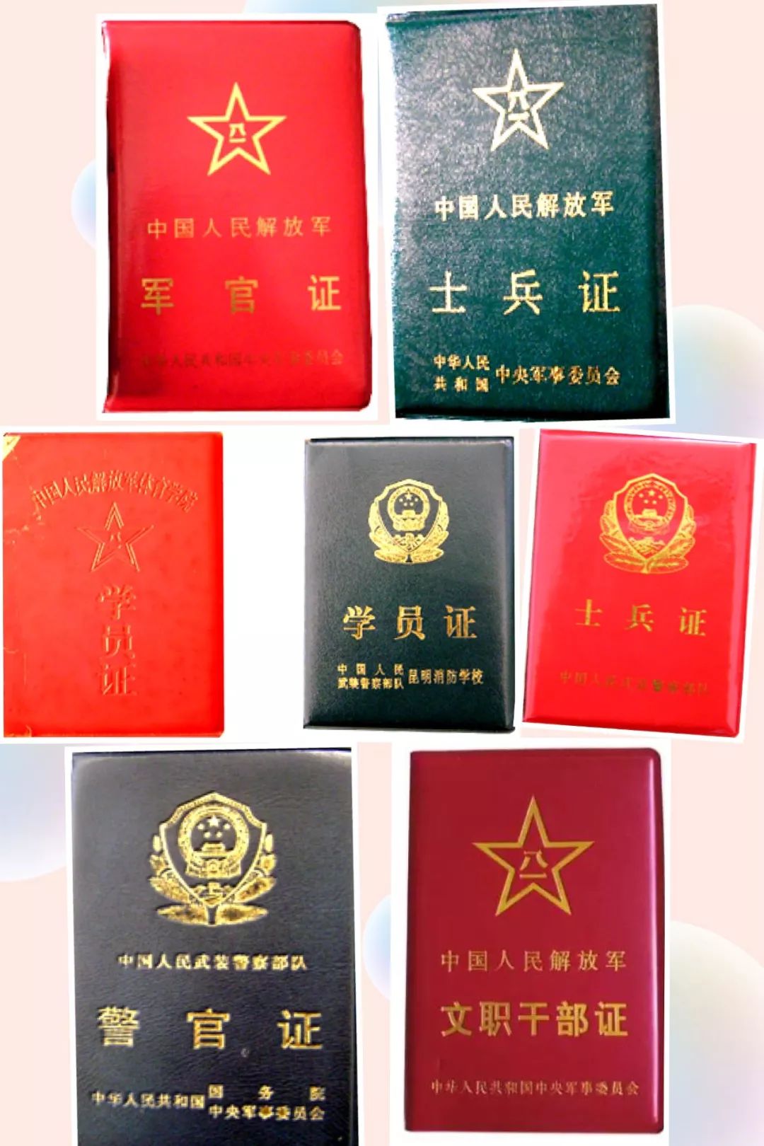 最美逆行者6,消防证包括:《中华人民共和国应急管理部干部证》,《中华