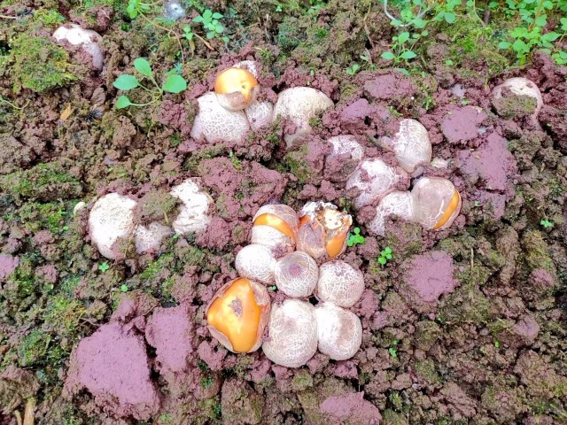 水富市经济总量_水富市