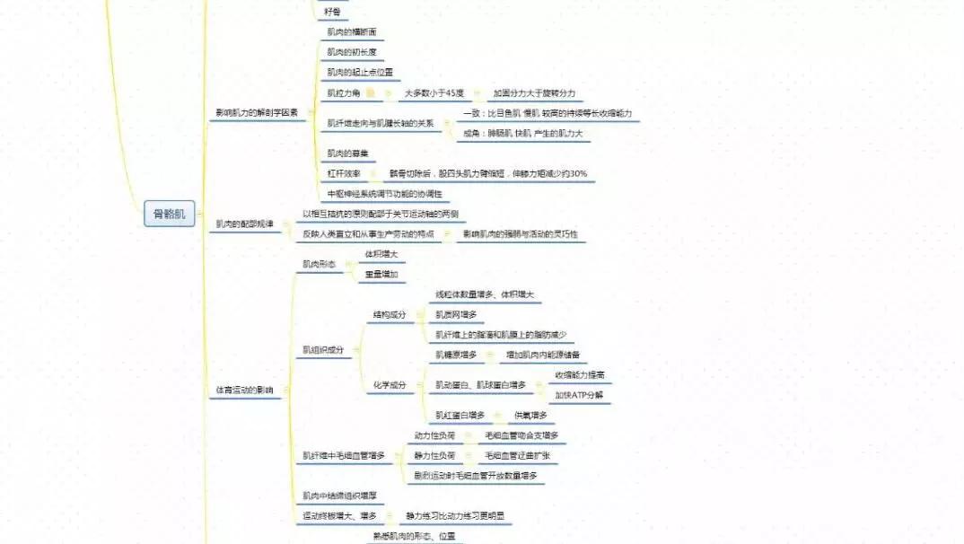 你有一份《运动解剖学》思维导图需要查收!