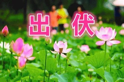 a834226d70114c199f712322acb2d9df.jpeg