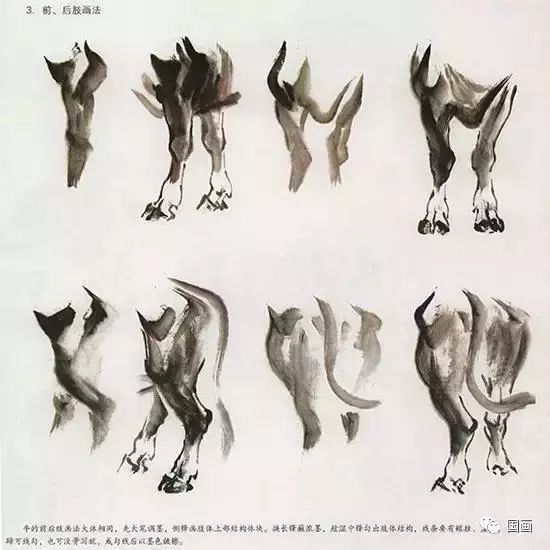 国画牛的画法